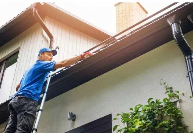 Gutter Cleaning